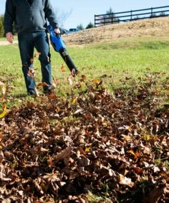 Kobalt 80-volt Max 630-CFM Brushless Handheld Cordless Electric Leaf Blower (Tool Only) - Outdoor Tools & Equipment -Kobalt Sales Store 10216808
