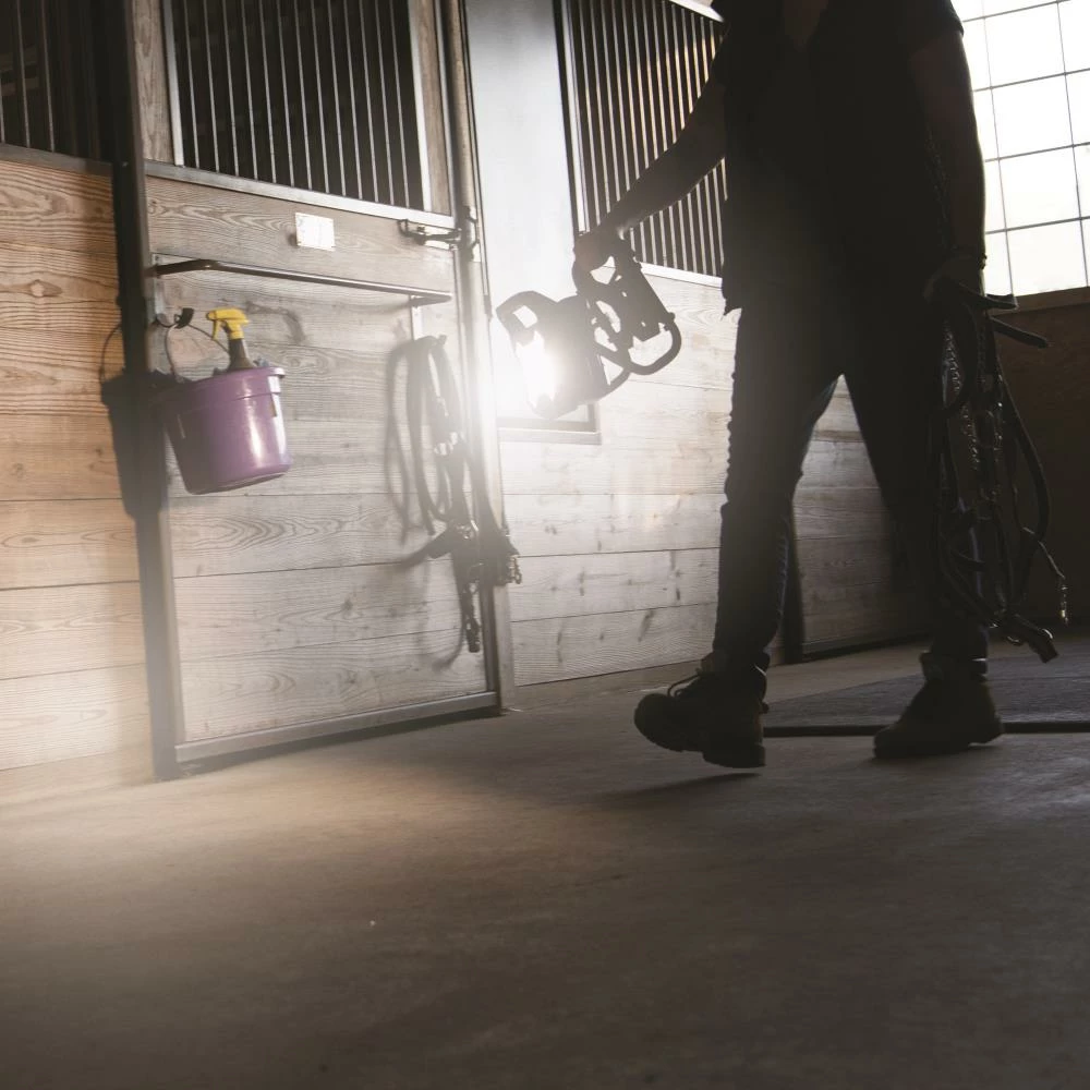 Kobalt 2-Pack LED Portable Work Light - Commercial Lighting 3 Kobalt 2-Pack LED Portable Work Light - Commercial Lighting - Image 3